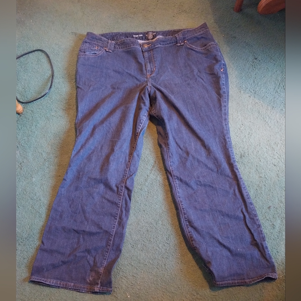 Lane Bryant Boot Cut Jeans 24